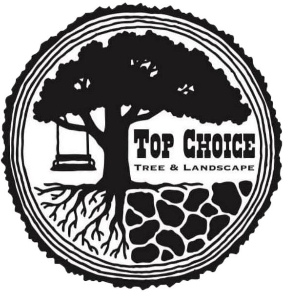 tcl_logo